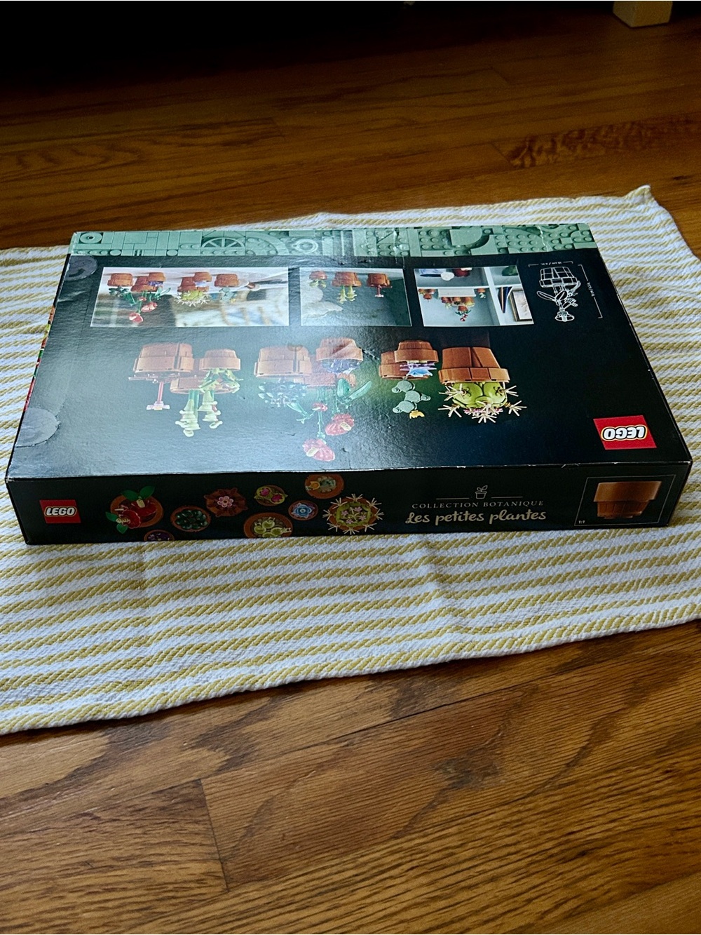 LEGO Icons Botanical Collection Tiny Plants set (10329) - Picture 10 of 11